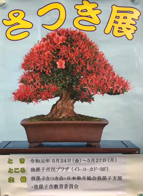 DCC409FB-2FC9-485A-B890-6D75FAD76AFC.png DCC409FB-2FC9-485A-B890-6D75FAD76AFC.png