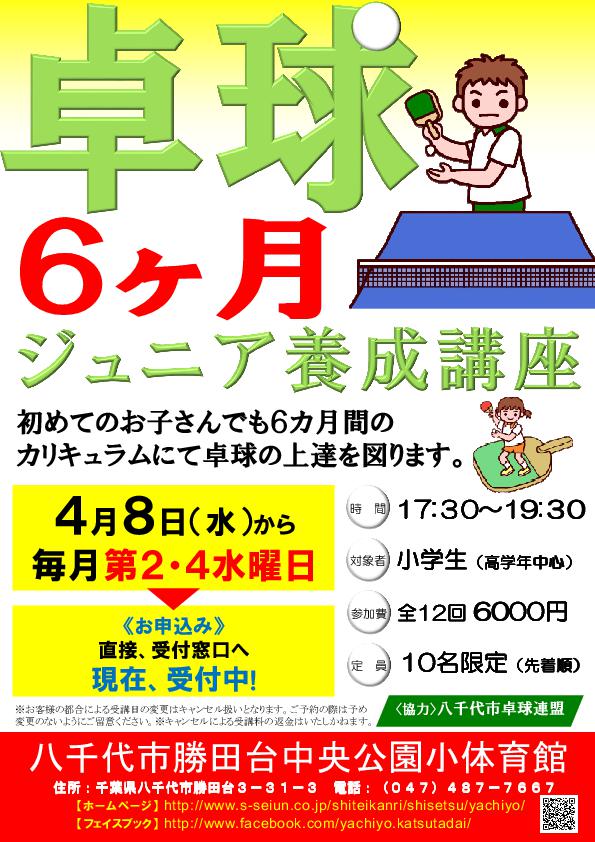 八千代市 八千代台近隣公園小体育館 勝田台中央公園小体育館 新着情報